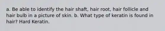 a. Be able to identify the hair shaft, hair root, hair follicle and hair bulb in a picture of skin. b. What type of keratin is found in hair? Hard Keratin.