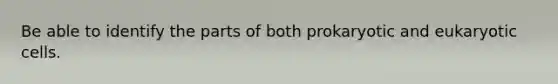 Be able to identify the parts of both prokaryotic and eukaryotic cells.