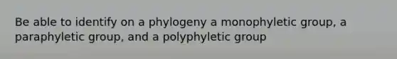 Be able to identify on a phylogeny a monophyletic group, a paraphyletic group, and a polyphyletic group