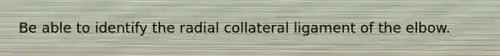 Be able to identify the radial collateral ligament of the elbow.