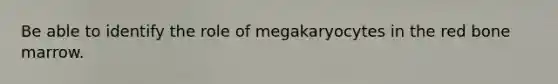 Be able to identify the role of megakaryocytes in the red bone marrow.