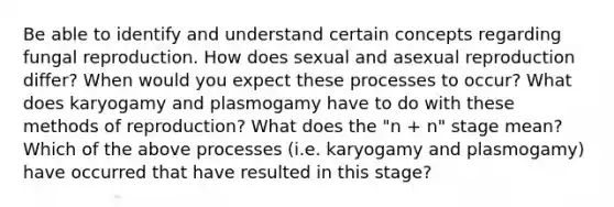 Be able to identify and understand certain concepts regarding fungal reproduction. How does sexual and asexual reproduction differ? When would you expect these processes to occur? What does karyogamy and plasmogamy have to do with these methods of reproduction? What does the "n + n" stage mean? Which of the above processes (i.e. karyogamy and plasmogamy) have occurred that have resulted in this stage?