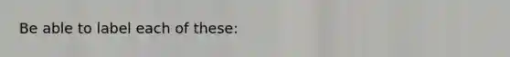 Be able to label each of these: