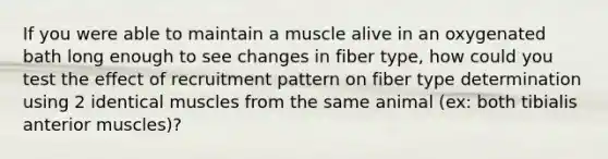 If you were able to maintain a muscle alive in an oxygenated bath long enough to see changes in fiber type, how could you test the effect of recruitment pattern on fiber type determination using 2 identical muscles from the same animal (ex: both tibialis anterior muscles)?