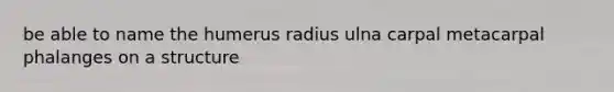 be able to name the humerus radius ulna carpal metacarpal phalanges on a structure