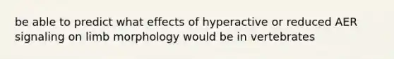 be able to predict what effects of hyperactive or reduced AER signaling on limb morphology would be in vertebrates