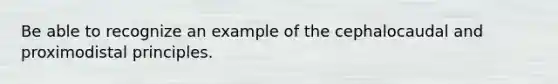 Be able to recognize an example of the cephalocaudal and proximodistal principles.