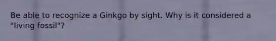 Be able to recognize a Ginkgo by sight. Why is it considered a "living fossil"?