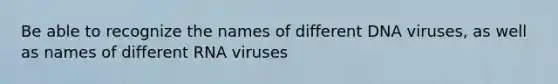 Be able to recognize the names of different DNA viruses, as well as names of different RNA viruses