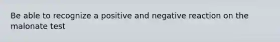 Be able to recognize a positive and negative reaction on the malonate test