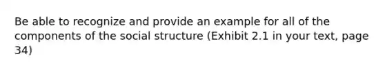 Be able to recognize and provide an example for all of the components of the social structure (Exhibit 2.1 in your text, page 34)