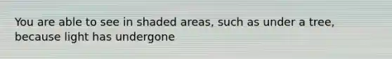 You are able to see in shaded areas, such as under a tree, because light has undergone