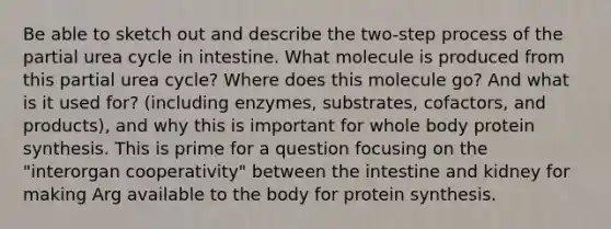 Be able to sketch out and describe the two-step process of the partial urea cycle in intestine. What molecule is produced from this partial urea cycle? Where does this molecule go? And what is it used for? (including enzymes, substrates, cofactors, and products), and why this is important for whole body protein synthesis. This is prime for a question focusing on the "interorgan cooperativity" between the intestine and kidney for making Arg available to the body for protein synthesis.