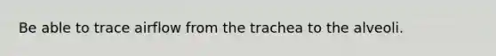 Be able to trace airflow from the trachea to the alveoli.