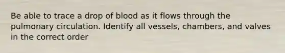 Be able to trace a drop of blood as it flows through the pulmonary circulation. Identify all vessels, chambers, and valves in the correct order