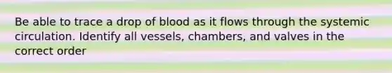 Be able to trace a drop of blood as it flows through the systemic circulation. Identify all vessels, chambers, and valves in the correct order