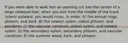 If you were able to walk into an opening cut into the center of a large redwood tree, when you exit from the middle of the trunk (stem) outward, you would cross, in order, A) the annual rings, phloem, and bark. B) the newest xylem, oldest phloem, and periderm. C) the vascular cambium, oldest xylem, and newest xylem. D) the secondary xylem, secondary phloem, and vascular cambium. E) the summer wood, bark, and phloem.