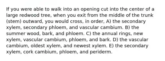 If you were able to walk into an opening cut into the center of a large redwood tree, when you exit from the middle of the trunk (stem) outward, you would cross, in order, A) the secondary xylem, secondary phloem, and vascular cambium. B) the summer wood, bark, and phloem. C) the annual rings, new xylem, vascular cambium, phloem, and bark. D) the vascular cambium, oldest xylem, and newest xylem. E) the secondary xylem, cork cambium, phloem, and periderm.