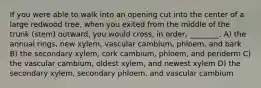 If you were able to walk into an opening cut into the center of a large redwood tree, when you exited from the middle of the trunk (stem) outward, you would cross, in order, ________. A) the annual rings, new xylem, vascular cambium, phloem, and bark B) the secondary xylem, cork cambium, phloem, and periderm C) the vascular cambium, oldest xylem, and newest xylem D) the secondary xylem, secondary phloem, and vascular cambium