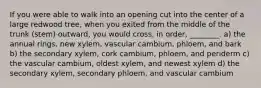 If you were able to walk into an opening cut into the center of a large redwood tree, when you exited from the middle of the trunk (stem) outward, you would cross, in order, ________. a) the annual rings, new xylem, vascular cambium, phloem, and bark b) the secondary xylem, cork cambium, phloem, and periderm c) the vascular cambium, oldest xylem, and newest xylem d) the secondary xylem, secondary phloem, and vascular cambium