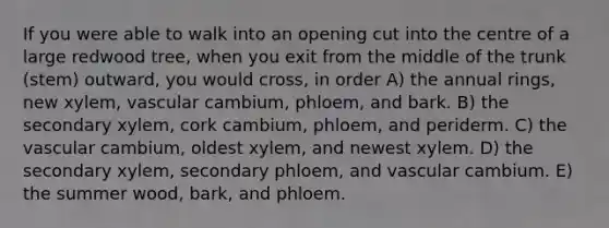 If you were able to walk into an opening cut into the centre of a large redwood tree, when you exit from the middle of the trunk (stem) outward, you would cross, in order A) the annual rings, new xylem, vascular cambium, phloem, and bark. B) the secondary xylem, cork cambium, phloem, and periderm. C) the vascular cambium, oldest xylem, and newest xylem. D) the secondary xylem, secondary phloem, and vascular cambium. E) the summer wood, bark, and phloem.