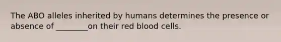 The ABO alleles inherited by humans determines the presence or absence of ________on their red blood cells.