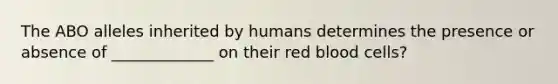 The ABO alleles inherited by humans determines the presence or absence of _____________ on their red blood cells?