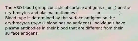 The ABO blood group consists of surface antigens (_ or _) on the erythrocytes and plasma antibodies (_________ or _________). Blood type is determined by the surface antigens on the erythrocytes (type O blood has no antigens). Individuals have plasma antibodies in their blood that are different from their surface antigens.