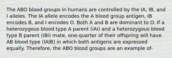 The ABO blood groups in humans are controlled by the IA, IB, and I alleles. The IA allele encodes the A blood group antigen, IB encodes B, and I encodes O. Both A and B are dominant to O. If a heterozygous blood type A parent (iAi) and a heterozygous blood type B parent (iBi) mate, one-quarter of their offspring will have AB blood type (IAIB) in which both antigens are expressed equally. Therefore, the ABO blood groups are an example of-