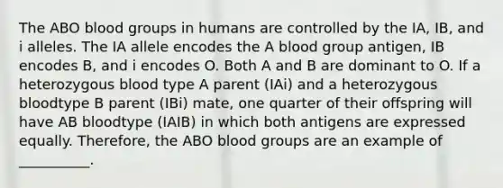 The ABO <a href='https://www.questionai.com/knowledge/kYZPOX2Y3u-blood-groups' class='anchor-knowledge'>blood groups</a> in humans are controlled by the IA, IB, and i alleles. The IA allele encodes the A blood group antigen, IB encodes B, and i encodes O. Both A and B are dominant to O. If a heterozygous blood type A parent (IAi) and a heterozygous bloodtype B parent (IBi) mate, one quarter of their offspring will have AB bloodtype (IAIB) in which both antigens are expressed equally. Therefore, the ABO blood groups are an example of __________.