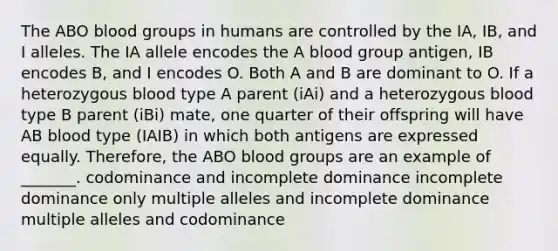 The ABO blood groups in humans are controlled by the IA, IB, and I alleles. The IA allele encodes the A blood group antigen, IB encodes B, and I encodes O. Both A and B are dominant to O. If a heterozygous blood type A parent (iAi) and a heterozygous blood type B parent (iBi) mate, one quarter of their offspring will have AB blood type (IAIB) in which both antigens are expressed equally. Therefore, the ABO blood groups are an example of _______. codominance and incomplete dominance incomplete dominance only multiple alleles and incomplete dominance multiple alleles and codominance