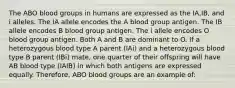 The ABO blood groups in humans are expressed as the IA,IB, and i alleles. The IA allele encodes the A blood group antigen. The IB allele encodes B blood group antigen. The i allele encodes O blood group antigen. Both A and B are dominant to O. If a heterozygous blood type A parent (IAi) and a heterozygous blood type B parent (IBi) mate, one quarter of their offspring will have AB blood type (IAIB) in which both antigens are expressed equally. Therefore, ABO blood groups are an example of: