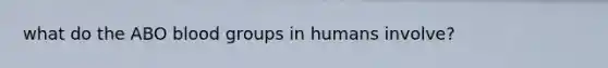 what do the ABO <a href='https://www.questionai.com/knowledge/kYZPOX2Y3u-blood-groups' class='anchor-knowledge'>blood groups</a> in humans involve?