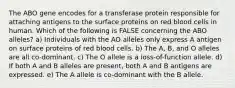 The ABO gene encodes for a transferase protein responsible for attaching antigens to the surface proteins on red blood cells in human. Which of the following is FALSE concerning the ABO alleles? a) Individuals with the AO alleles only express A antigen on surface proteins of red blood cells. b) The A, B, and O alleles are all co-dominant. c) The O allele is a loss-of-function allele. d) If both A and B alleles are present, both A and B antigens are expressed. e) The A allele is co-dominant with the B allele.