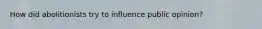 How did abolitionists try to influence public opinion?