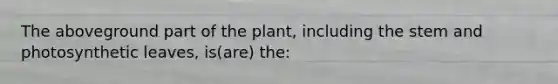 The aboveground part of the plant, including the stem and photosynthetic leaves, is(are) the: