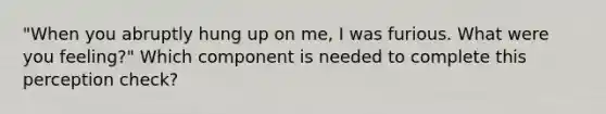 "When you abruptly hung up on me, I was furious. What were you feeling?" Which component is needed to complete this perception check?