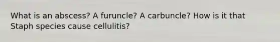 What is an abscess? A furuncle? A carbuncle? How is it that Staph species cause cellulitis?