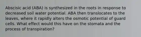 Abscisic acid (ABA) is synthesized in the roots in response to decreased soil water potential. ABA then translocates to the leaves, where it rapidly alters the osmotic potential of guard cells. What effect would this have on the stomata and the process of transpiration?