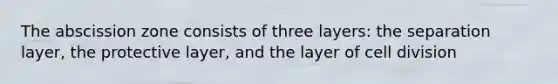 The abscission zone consists of three layers: the separation layer, the protective layer, and the layer of cell division