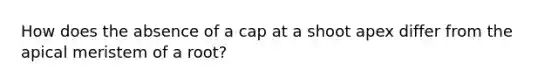 How does the absence of a cap at a shoot apex differ from the apical meristem of a root?