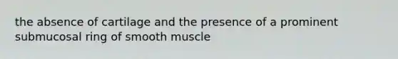 the absence of cartilage and the presence of a prominent submucosal ring of smooth muscle