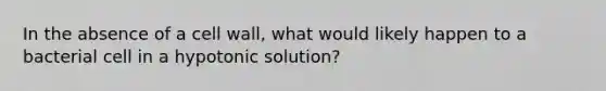 In the absence of a cell wall, what would likely happen to a bacterial cell in a hypotonic solution?