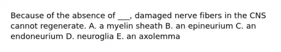 Because of the absence of ___, damaged nerve fibers in the CNS cannot regenerate. A. a myelin sheath B. an epineurium C. an endoneurium D. neuroglia E. an axolemma