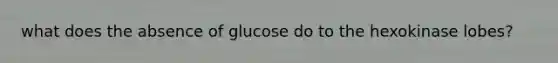 what does the absence of glucose do to the hexokinase lobes?