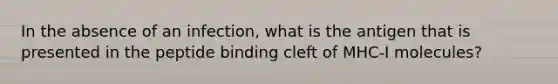 In the absence of an infection, what is the antigen that is presented in the peptide binding cleft of MHC-I molecules?