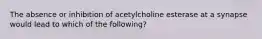 The absence or inhibition of acetylcholine esterase at a synapse would lead to which of the following?