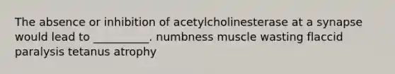 The absence or inhibition of acetylcholinesterase at a synapse would lead to __________. numbness muscle wasting flaccid paralysis tetanus atrophy