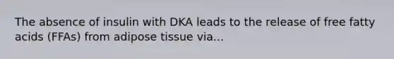 The absence of insulin with DKA leads to the release of free fatty acids (FFAs) from adipose tissue via...