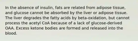 In the absence of insulin, fats are related from adipose tissue, and glucose cannot be absorbed by the liver or adipose tissue. The liver degrades the fatty acids by beta-oxidation, but cannot process the acetyl CoA because of a lack of glucose-derived OAA. Excess ketone bodies are formed and released into the blood.